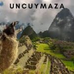 Uncuymaza